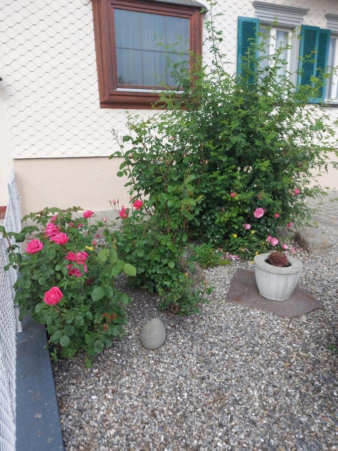 Ferienhaus Und Ferienappartements Brunner Höchst Dış mekan fotoğraf
